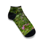 dandelionの大きい蝶々 オオゴマダラ Ankle Socks