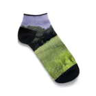 dadalio designの夢の跡 Ankle Socks