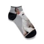 Kybeleのテリアのかわいい子犬のアイテム Ankle Socks