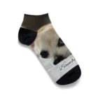 犬執事・ドッグバトラーのバンビ君ショップの世界初！本物の犬執事・ドッグバトラーのバンビ君 Ankle Socks