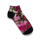 chatnoir8のFlower_Bougainvillea Ankle Socks