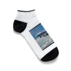 あかいはちのフィリピンの旅客機 Ankle Socks