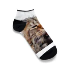 日向ぼっこのずぶ濡れ猫 Ankle Socks