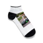 wonder_ANIMALPARKのスケートボードに颯爽と乗る猫 Ankle Socks