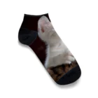 可愛い動物の猫 Ankle Socks