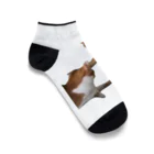 猫ミームグッズの【猫ミーム】叩かれる猫と叩く猫 Ankle Socks