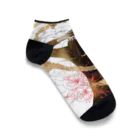 CurtainCallのHypocrite chan Ankle Socks