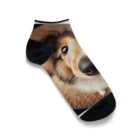 mermaidのcollie Ankle Socks