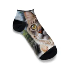 akatonbo1240の飼い主と愛情深いコミュニケーションを楽しむかわいいネコの姿🐱 Ankle Socks