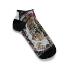 TanaArtの太陽と循環 Ankle Socks