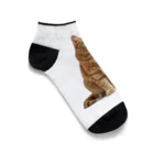 Spoiledのねこのペルくん Ankle Socks