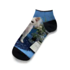 ももまゆ雑貨店のプル「EarlySummer」 Ankle Socks