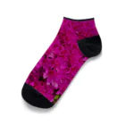 マリーゴールドのピンクの塊 Ankle Socks