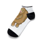 ヤマトのきょとんラビくん Ankle Socks