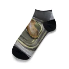 スケスケオイナリサンのマンゴーの種 Ankle Socks