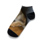 もふもふ犬ソア君SHOPの愛らしいモフモフ犬グッズ Ankle Socks