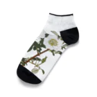 sachiko_goodsのなにはいばら Ankle Socks