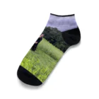 dadalio designの夢の跡 Ankle Socks