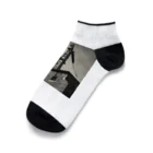 norizoouの鳶 Ankle Socks