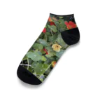 ★華霊KAREI★のお花畑 Ankle Socks