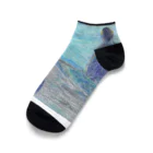 つぎのラピス島ペンギン Ankle Socks