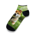 CC-LL (クク・ルル)の【柴犬】フォトリアル Ankle Socks