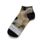 犬執事・ドッグバトラーのバンビ君ショップの世界初！本物の犬執事・ドッグバトラーのバンビ君 Ankle Socks