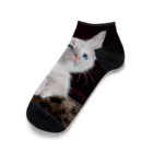 可愛い動物の猫 Ankle Socks