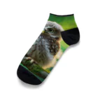 Animal Canvas Collectionの森のふくろう Ankle Socks