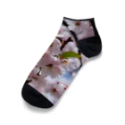 spencerのソメイ Ankle Socks