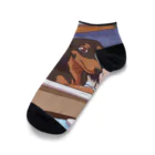 IROTOPIA🐾のお風呂に入ってるモコくん Ankle Socks