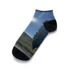 YASUE ABE JPのSunrise Ankle Socks