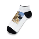 AQUAMETAVERSEの雪祭り　なでしこ1478 Ankle Socks