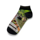 AQUAMETAVERSEの非日常のアジア旅　なでしこ1478 Ankle Socks