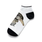 うちの猫ちゃんたちの茹でられたエビみたいなとらと Ankle Socks