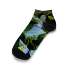 nijiirosorausagiのどくだみの花  うさぎの畑 Ankle Socks