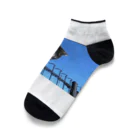 ながしっぽ from.さくらねこの家のながしっぽ　type.C Ankle Socks