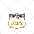 🌈🐶宇宙(sora)の部屋❤️の宇宙(sora)グッズ くるぶしソックス