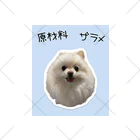 hiropokoのわたあめ犬のペー くるぶしソックス