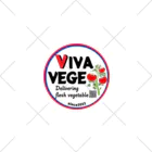 VIVA VEGEのVIVA VEGE くるぶしソックス