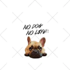 おもしろ書道Tシャツ専門店『てんくり』のNO DOG NO LIFE!!フレンチブルドッグ くるぶしソックス