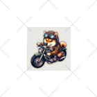 シバライダーロードの柴ライダーロードshiba31 くるぶしソックス