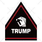 TRUMPのTRUMPマーカー Ankle Socks