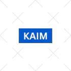 lifeworksの皆無・カイム・KAIM くるぶしソックス