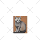 F2 Cat Design Shopのhairless cat 001 くるぶしソックス