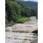 TACOIKAのHakone　RainyDay くるぶしソックス