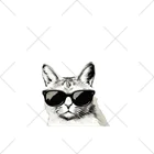 CoolShades CrittersのMonochrome Cat Shades くるぶしソックス