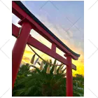 kayuuの夕陽に映える紅色の鳥居 くるぶしソックス