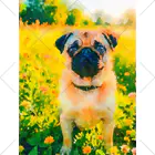 犬好きのしましまの水彩画の犬 花畑のパグのイラスト くるぶしソックス