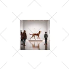 平野愛理の展示犬 くるぶしソックス